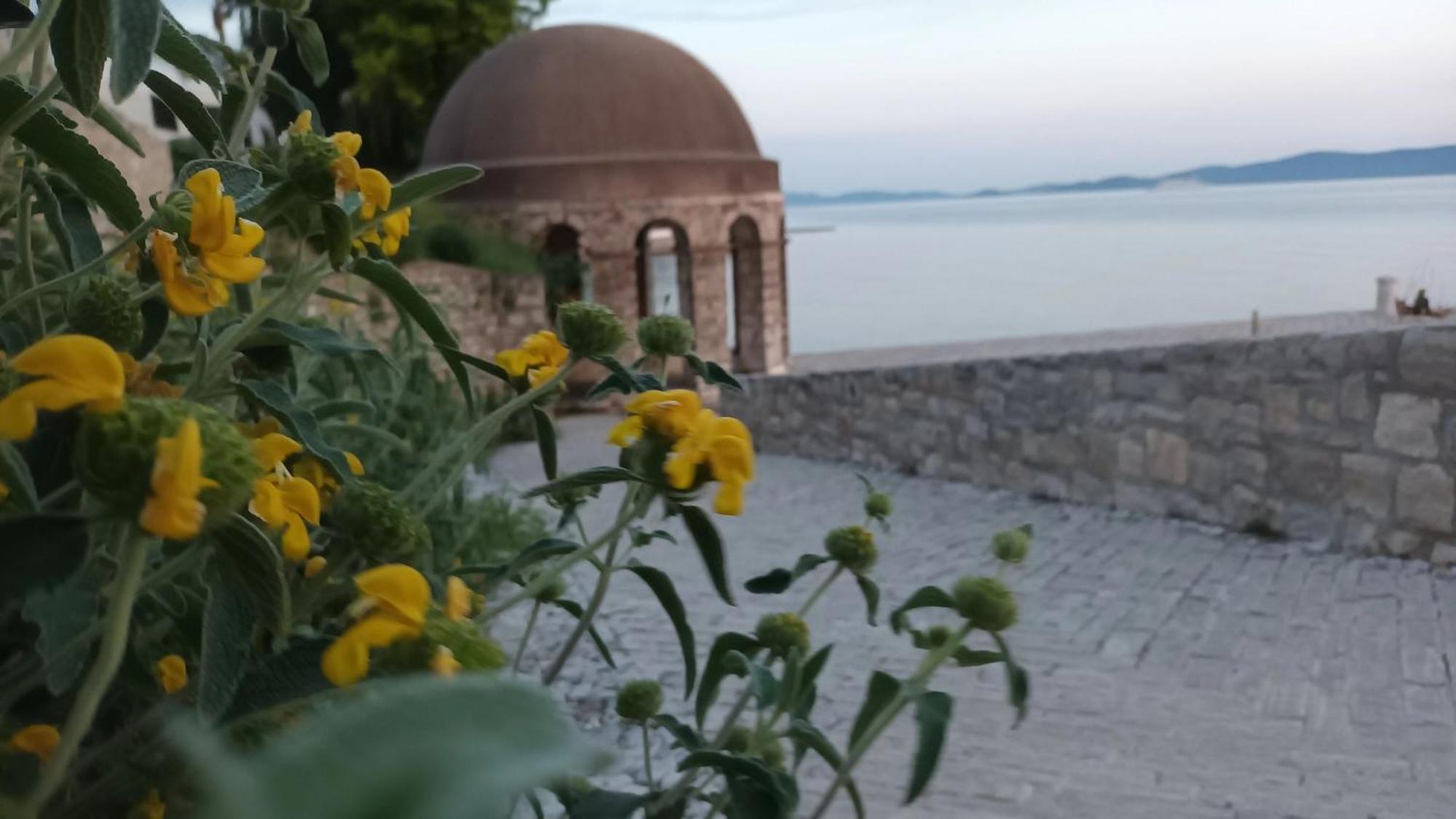 Apartament Casper Zadar